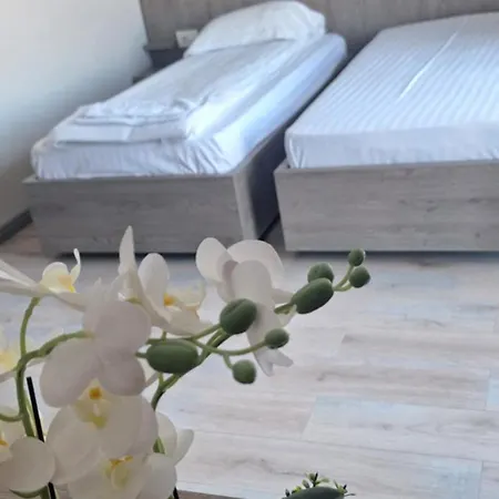 Pensiunea Normandia Bed and Breakfast 3*