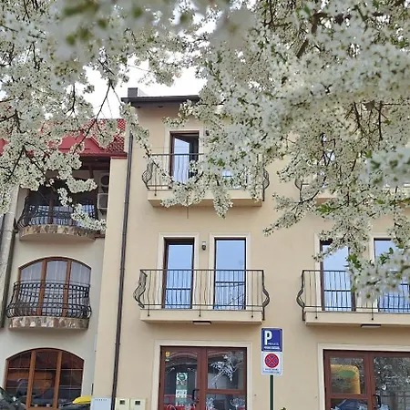 Pensiunea Normandia 3*