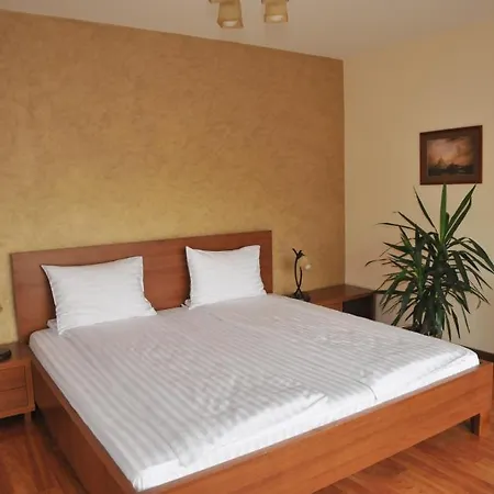 Pensiunea Normandia 3* Timişoara