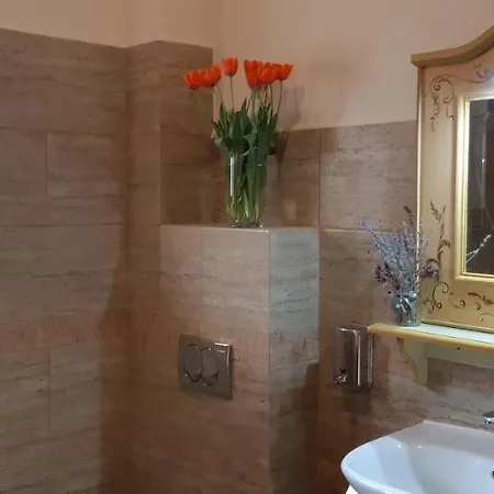 B&B Pensiunea Normandia 3*