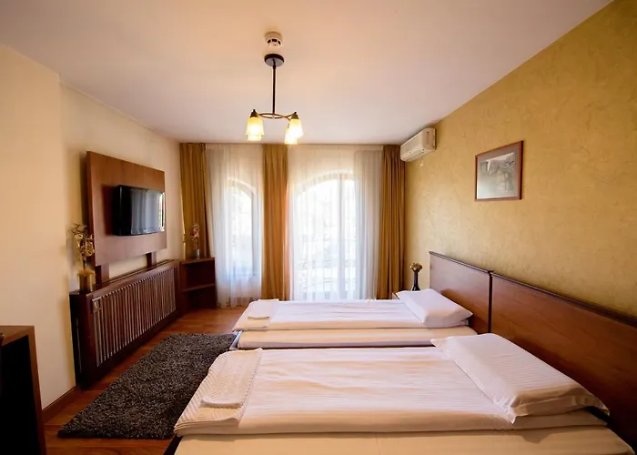 Pensiunea Normandia 3*