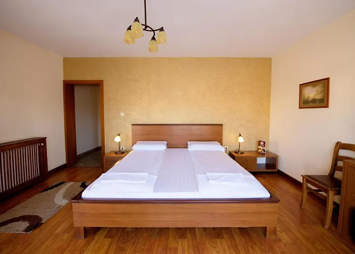Bed & Breakfast Pensiunea Normandia Timisoara