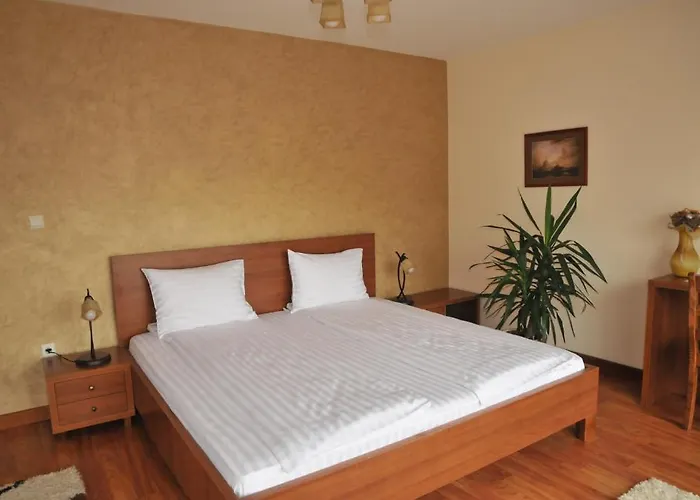 Pensiunea Normandia 3* Temesvár