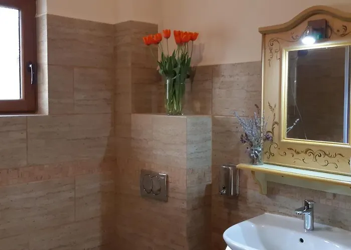 Panzió Pensiunea Normandia 3*