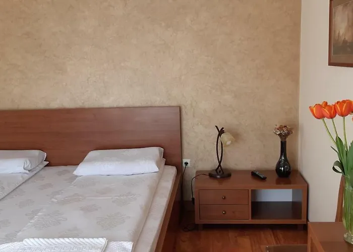 Pensiunea Normandia 3*