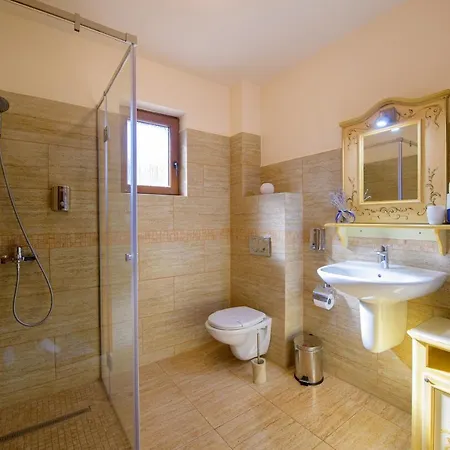 Pensiunea Normandia 3* Timişoara