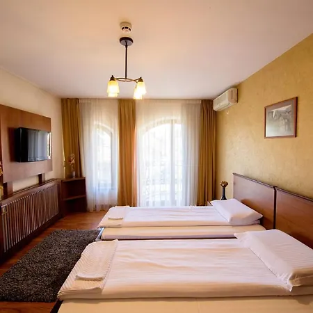 Pensiunea Normandia 3*