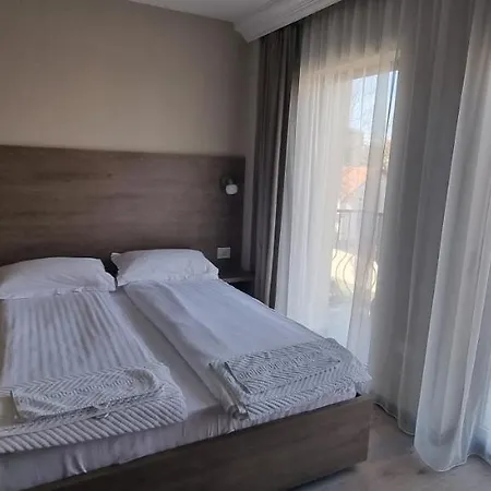 Pensiunea Normandia 3* Тімішоара