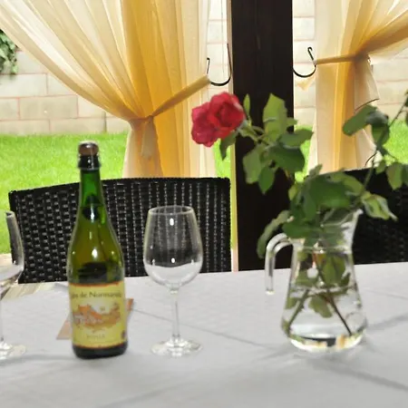 Pensiunea Normandia Тімішоара