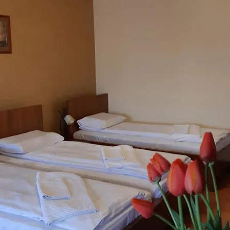 Pensiunea Normandia Готель типу 