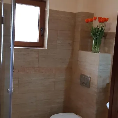 Pensiunea Normandia Тімішоара