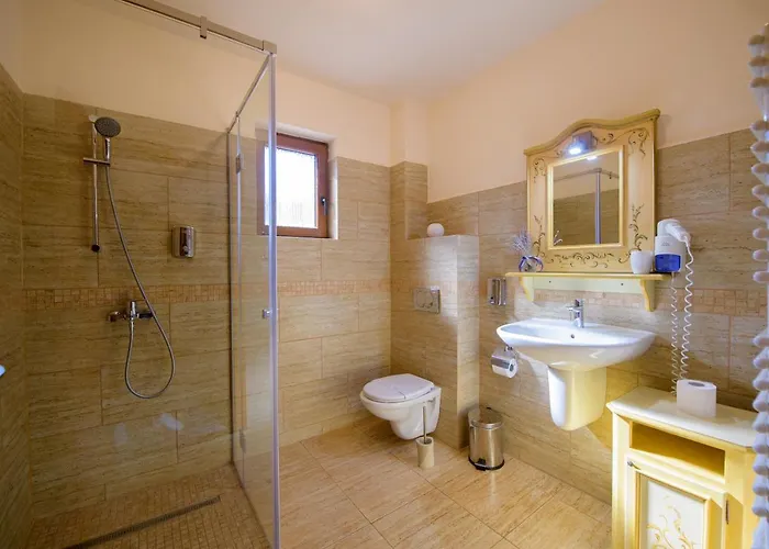 Pensiunea Normandia 3* Timişoara