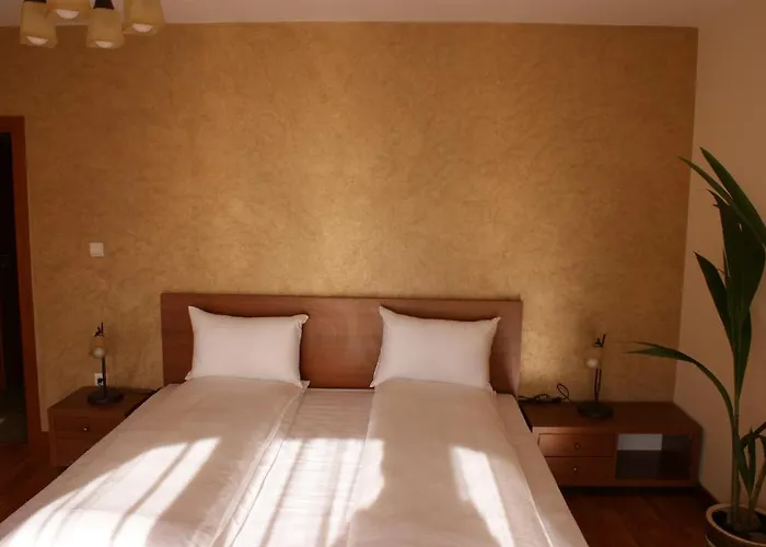 Pensiunea Normandia Bed & Breakfast Timişoara