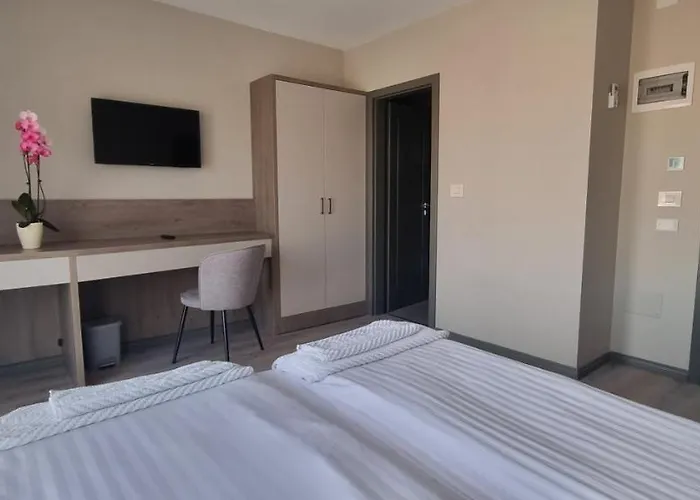 Pensiunea Normandia 3* Timişoara