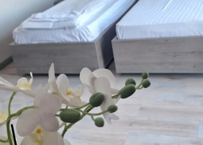 Pensiunea Normandia Bed & Breakfast 3*