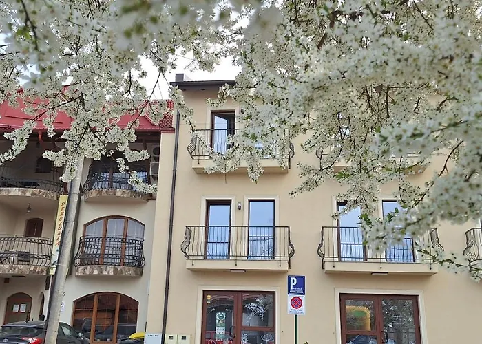 Pensiunea Normandia 3*