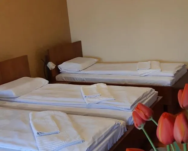 Pensiunea Normandia Bed & Breakfast Timişoara