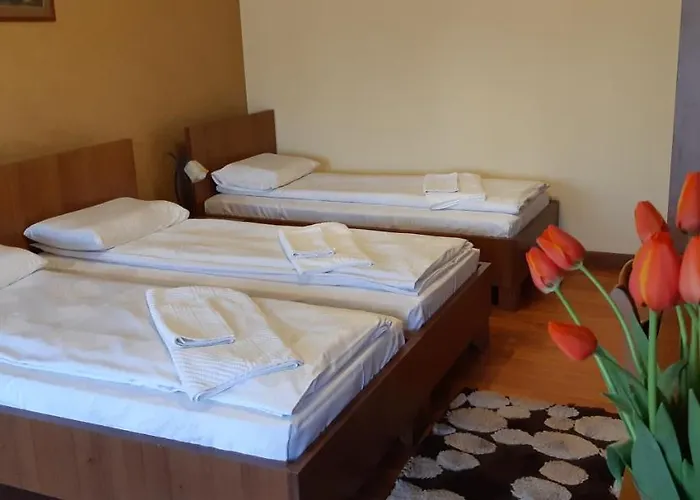 Bed & Breakfast Pensiunea Normandia Timişoara