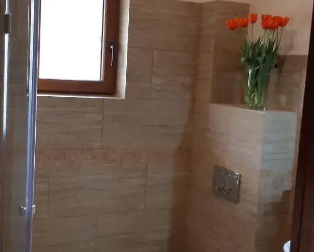 Pensiunea Normandia Timişoara